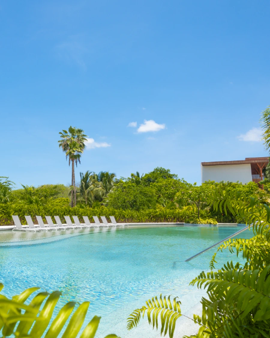 Albercas familiares y solo para adultos