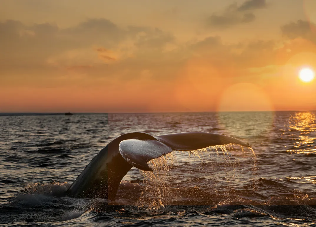 Últimas habitaciones de la temporada