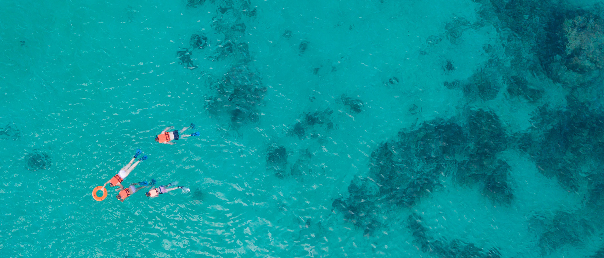 Descubre las playas de aguas más cristalinas en México: Un paraíso escondido en Punta de Mita