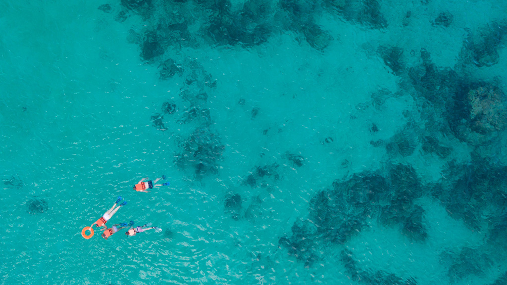 Descubre las playas de aguas más cristalinas en México: Un paraíso escondido en Punta de Mita