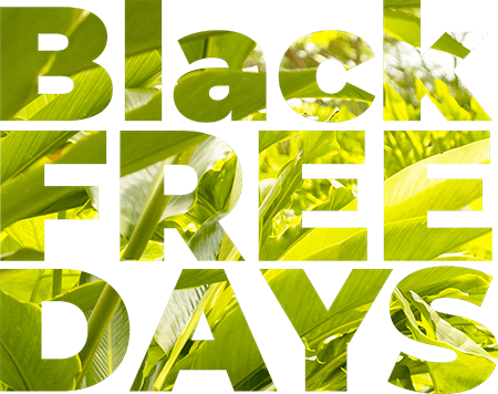 Black FREEDays Punta de Mita, Nayarit