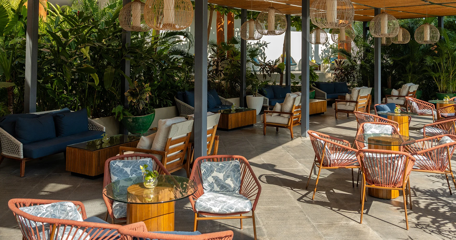 Blend Bar in Punta de Mita